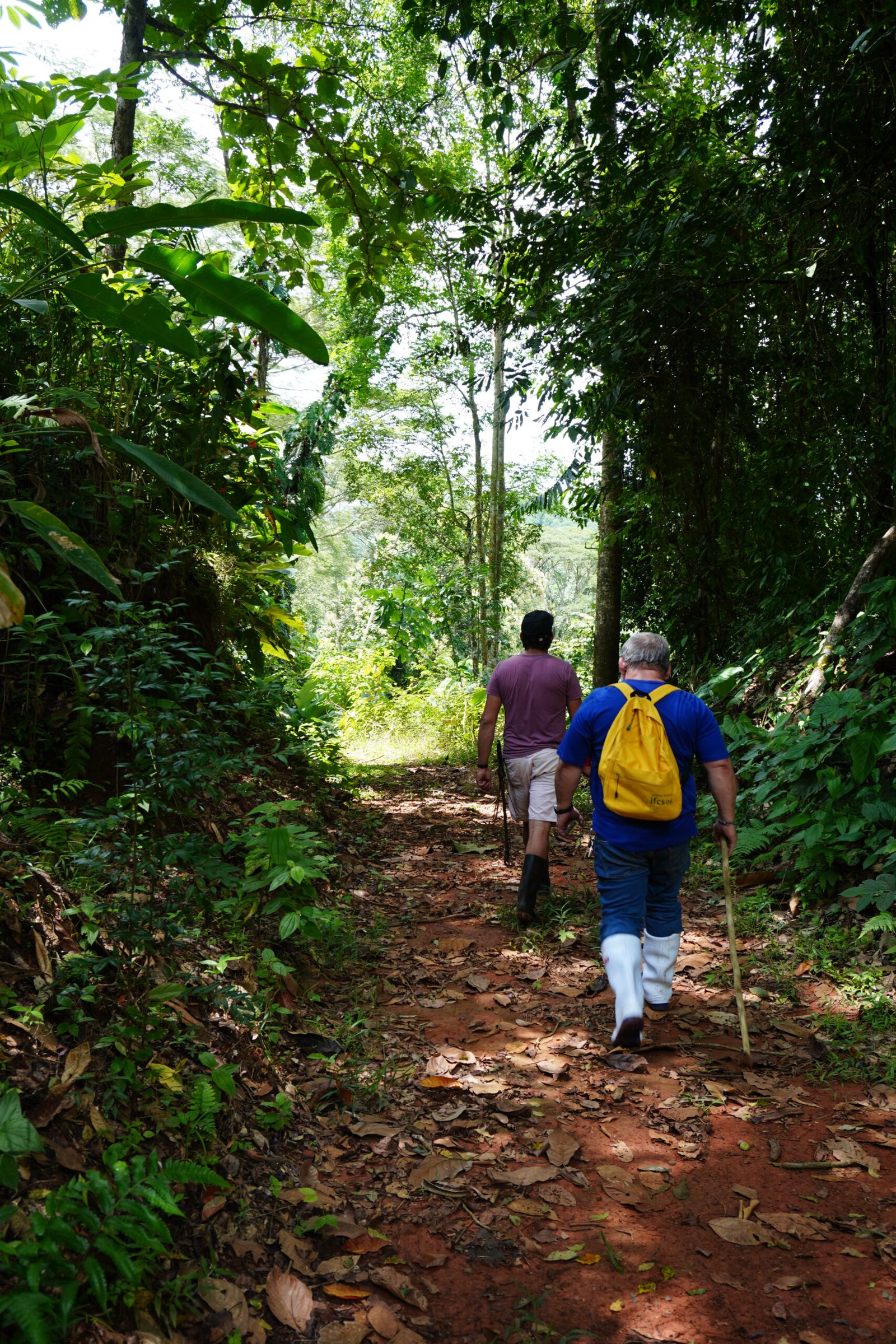 First impressions of Rio Tulin